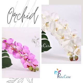 [ẢNH THẬT SHOP CHỤP] Hoa Phong lan Hoa giả Hoa lụa trang trí Tết