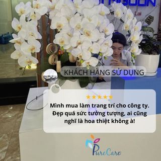 [ẢNH THẬT SHOP CHỤP] Hoa Phong lan Hoa giả Hoa lụa trang trí Tết