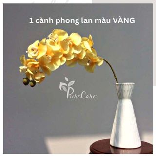 [ẢNH THẬT SHOP CHỤP] Hoa Phong lan Hoa giả Hoa lụa trang trí Tết