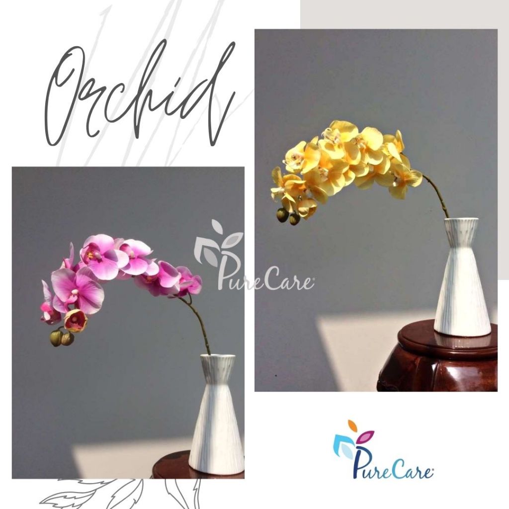 [ẢNH SHOP CHỤP] HOA PHONG LAN Orchid thân cành lớn trang trí nhà Tết hội nghị tiệc cưới
