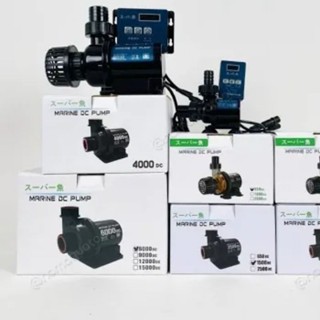 Máy bơm marine DC chống giật