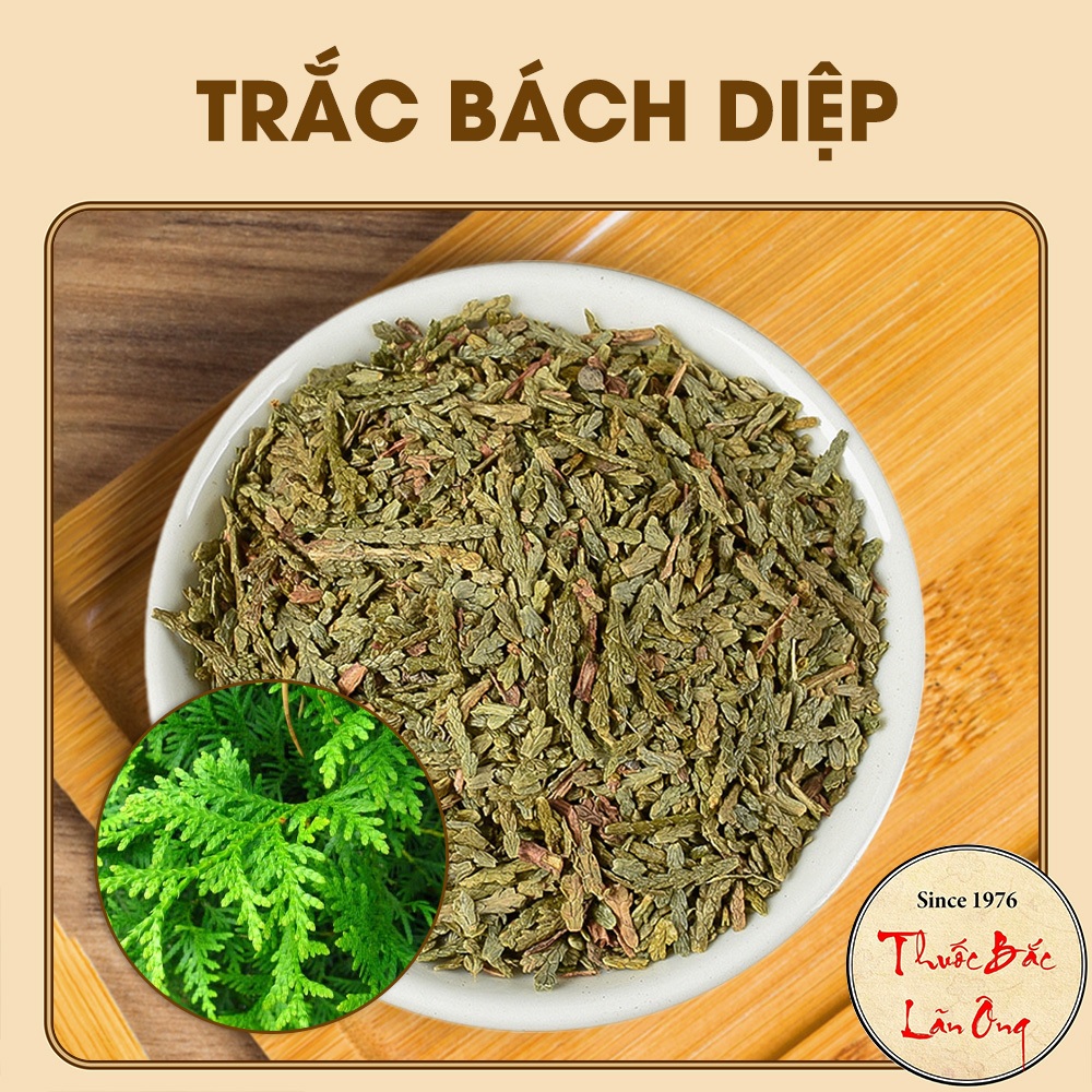 Trắc bách diệp 1kg, trắc bá diệp khô, thơm, sạch, không lẫn tạp chất - Lãn Ông