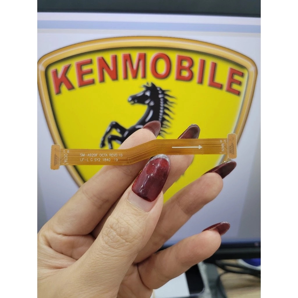 Cáp Nối Màn Hình Với Main SS A9 2018 / A920