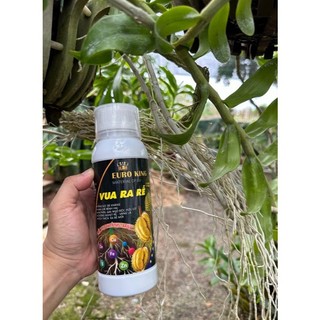Vua Ra Rễ Euro King 500ml Mua 1 Chai Tặng 1 Gói Chống Loãng