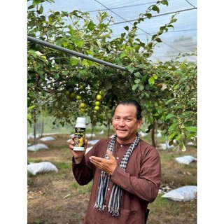 Vua Ra Rễ Euro King 500ml Mua 1 Chai Tặng 1 Gói Chống Loãng