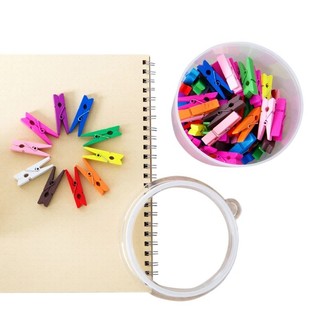 Kẹp gỗ màu bộ 10 chiếc (3,5cm x 0,7cm)