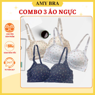 Combo 3 Áo Ngực Cotton Đũi Không Gọng - Set 3 Áo Lót Nữ Đệm Mút Mỏng Cài Sau Mặc Nhẹ AMYBRA A739