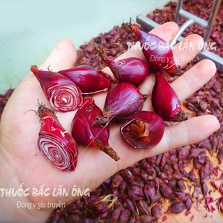 Sâm Đại Hành 500g Đã Sao Thơm Sẵn