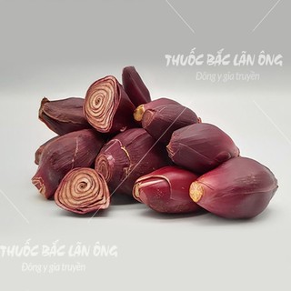 Sâm Đại Hành 500g Đã Sao Thơm Sẵn