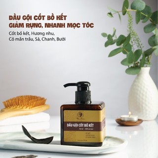 Dầu gội cốt bồ kết thảo dược Wonmom 250ml - kích thích mọc tóc - An toàn cho Mẹ mang thai và sau sinh - Việt Nam