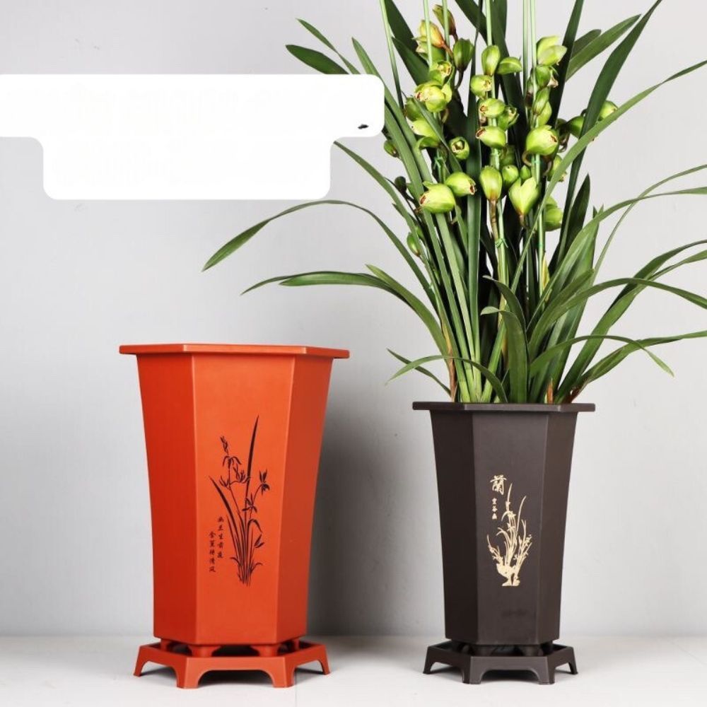 Chậu nhựa trồng cây,trồng kiếm,địa lan,santo,kim tiền,chầu bà,thanh xuân,chậu lục giác,chậu nhựa giả