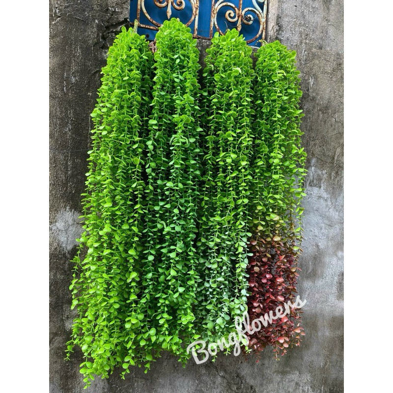 Cụm lá rủ trang trí decor nhà cửa hàng quán