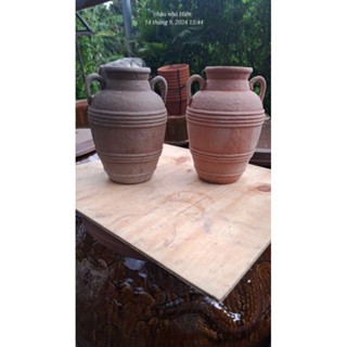Chậu đất nung - chậu bình 2 quai cổ miệng 11.5, cao 29cm