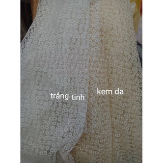 Vải ren lưới thêu chất đẹp .