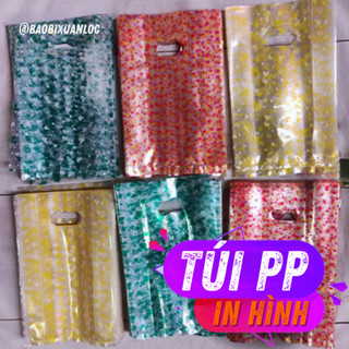 Túi Nilong Trong Suốt In Hình Họa Tiết - Túi PP ( LOẠI 1)