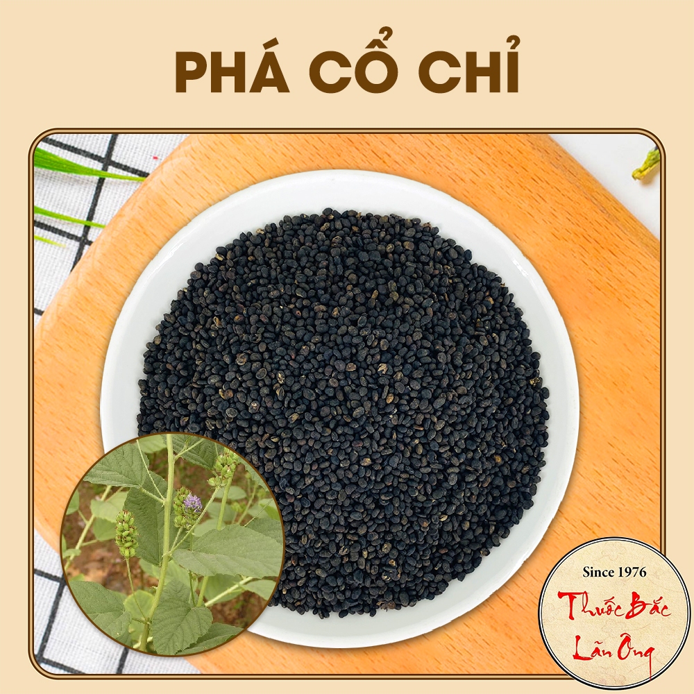Phá Cố Chỉ 100g