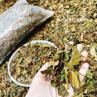 Chè vằng khô 1kg, trà vằng đã sao thơm, giúp lợi sữa, mát sữa, mát gan, hỗ trợ giảm cân, giảm mỡ