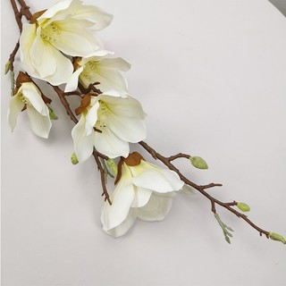 Hoa Mộc Lan cao su 5 bông 90cm, Hoa giả trang trí