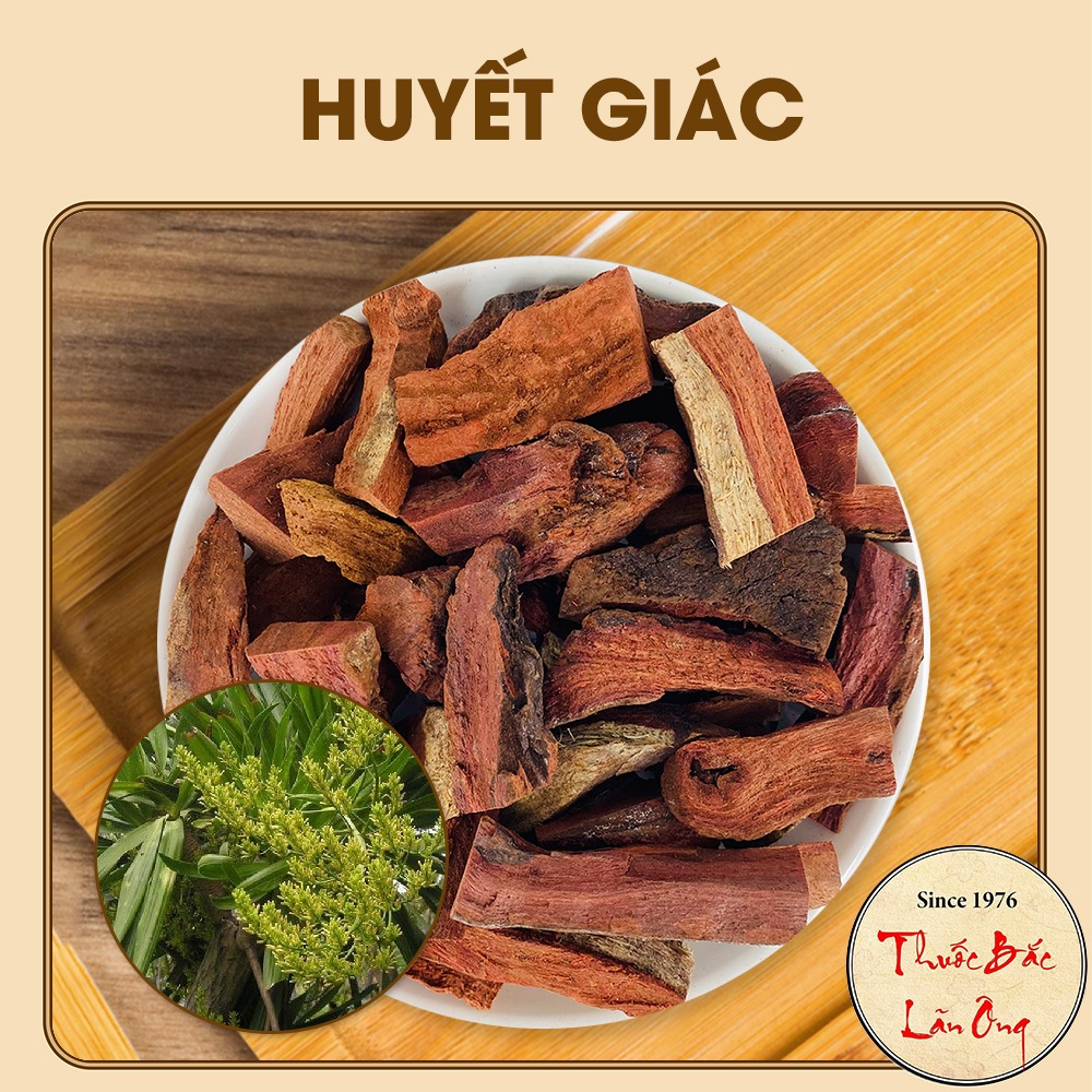 Huyết giác đỏ khô 1kg, hỗ trợ giảm đau nhức xương khớp, tê bì tay chân, ngừa phong thấp