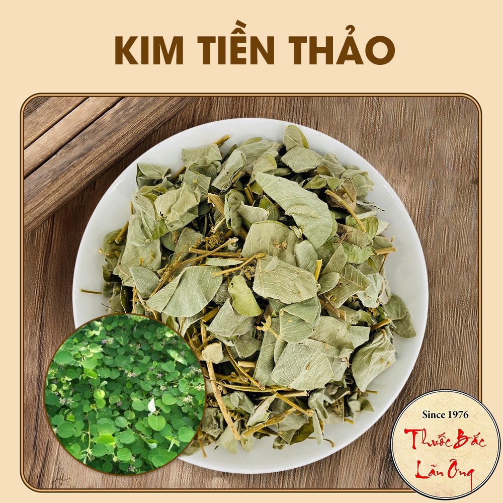 Kim tiền thảo khô 100g, hỗ trợ giảm sỏi thận, sỏi mật, giảm tiểu rắt, tiểu buốt, tốt cho đường tiết niệu