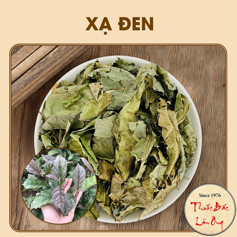 Xạ đen Hoà Bình 100g, khô, sạch, nguyên lá, hỗ trợ giải độc gan, giảm tiểu đường, phòng ngừa ung thư