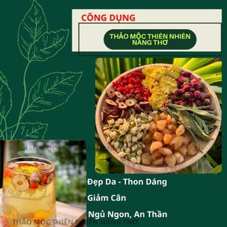 Trà Dưỡng Nhan 7 Vị -  Bảy Vị - Trà Thảo Mộc Thiên Nhiên - Trà Hoa Cúc Vàng, Nụ Hồng, Kỉ Tử, Táo Lát, Long Nhãn T35