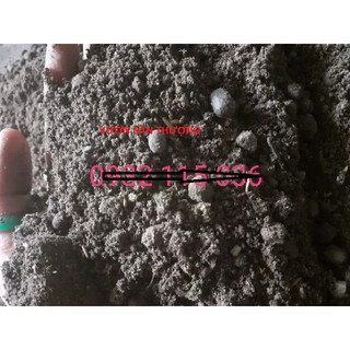 Đất Cải Tạo (2kg) cho nền đất xốp đen nhẹ, Đất Sạch trên thị trường