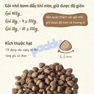 Hạt Mèo Con Hữu Cơ Natural Core Kitten