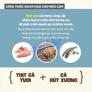 Hạt Mèo Con Hữu Cơ Natural Core Kitten