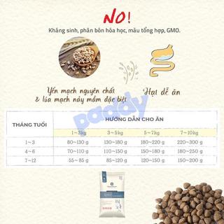 Hạt Mèo Con Hữu Cơ Natural Core Kitten