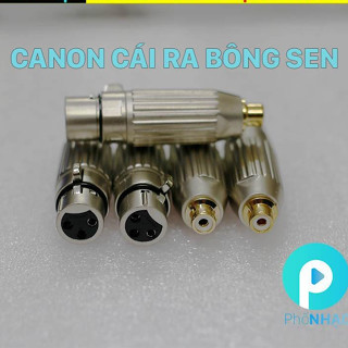 [Mã ELHACE giảm 4% đơn 300K] Jack chuyển Canon Cái ra Bông Sen (AV) | Jack chuyển Hoa Sen ra Canon Đực | Phố nhạc