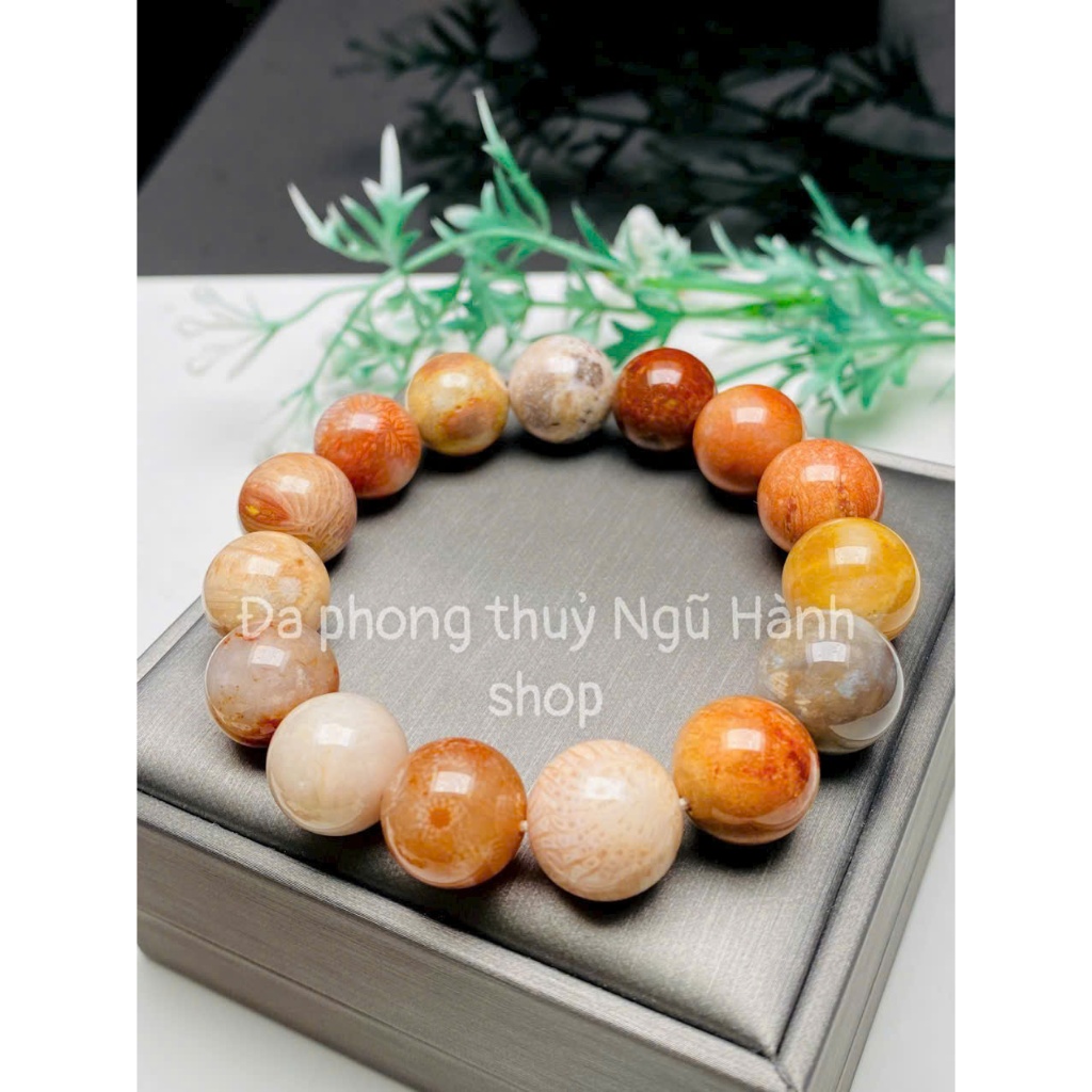 Vòng tay san hô hoá thach size 14-21mm siêu vip
