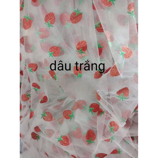 vải voan lưới hình quả dâu.