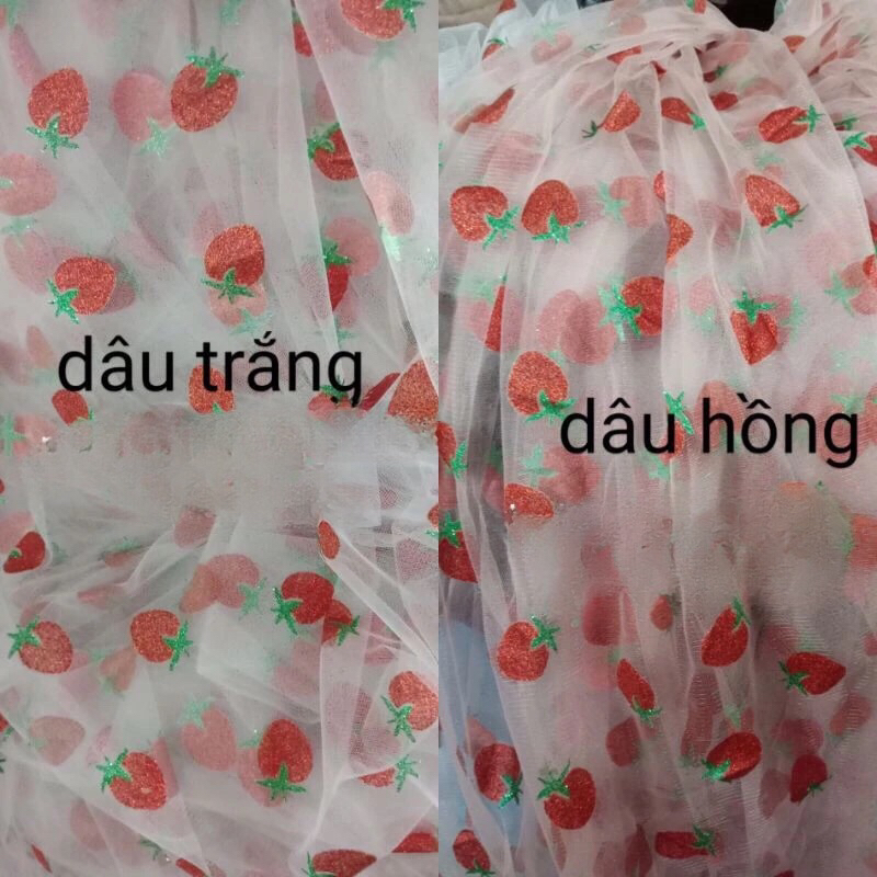 vải voan lưới hình quả dâu.