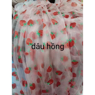 vải voan lưới hình quả dâu.