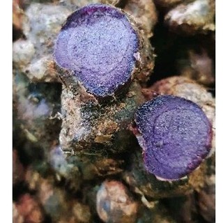 500g-GỪNG Đ.E.N Đậm (n.g.ai đen) mới nhổ