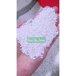 Nếp Tây Bắc