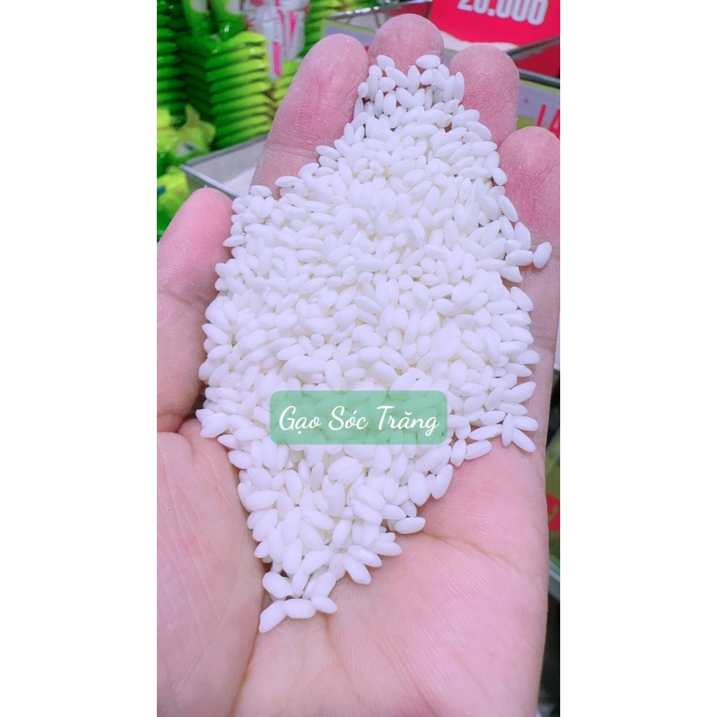Nếp Tây Bắc