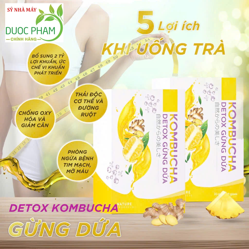Combo 2 hộp trà dưỡng sinh Kombucha