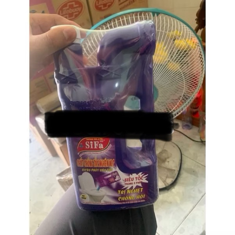 Sifa thông cầu 1600g