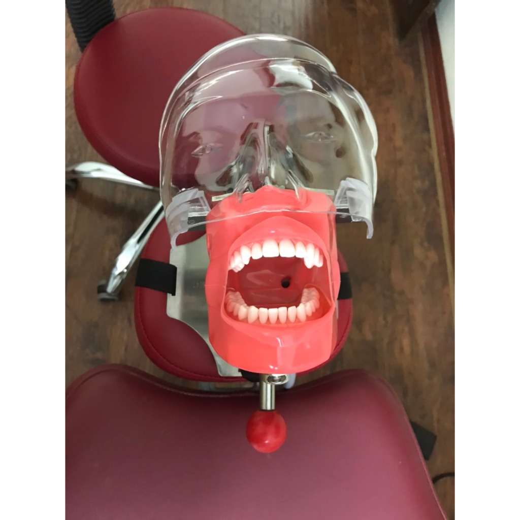 PHANTOM THỰC HÀNH NHA KHOA CÓ HÀM VÀ RĂNG  - DỤNG CỤ MÔ PHỎNG BỆNH NHÂN LÂM SÀNG - HÀM NHỰA GIẢ - DỤ