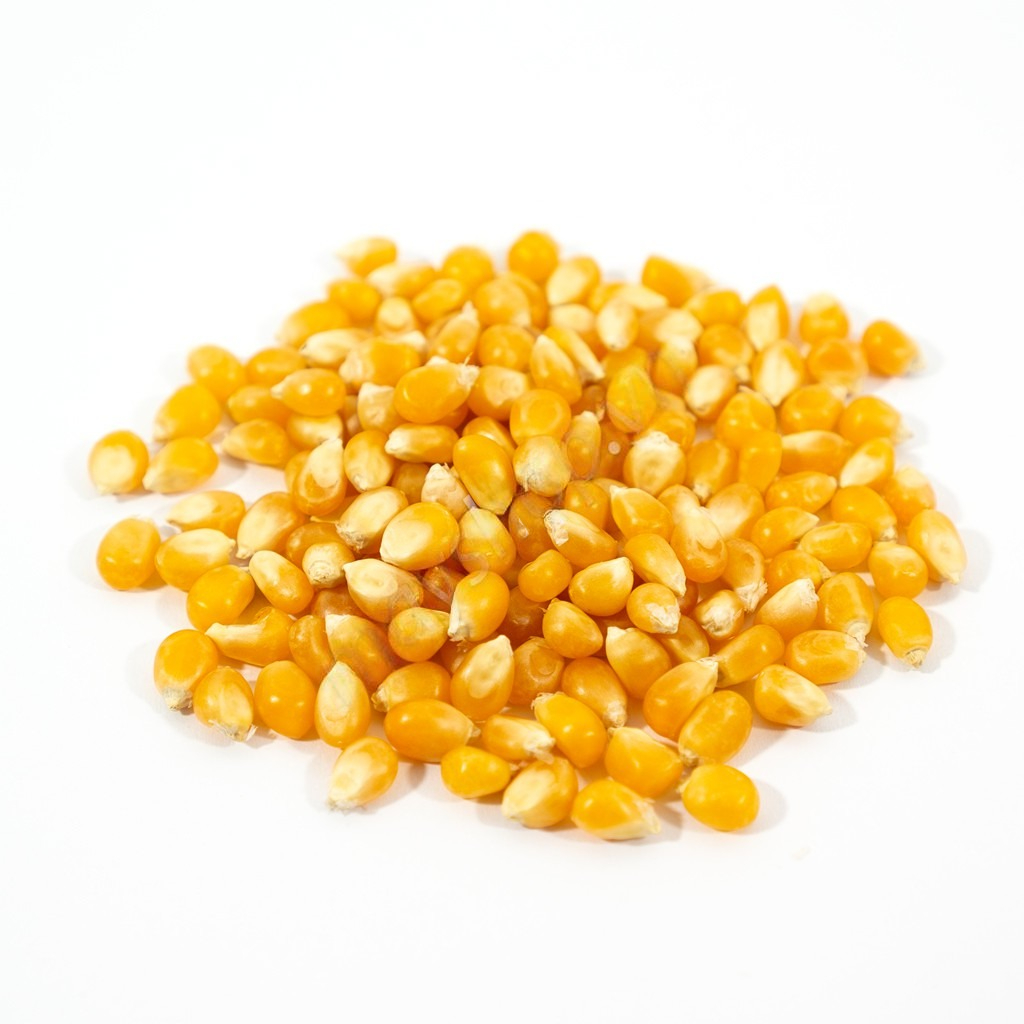 Ngô nổ Popcorn Mỹ (500g)