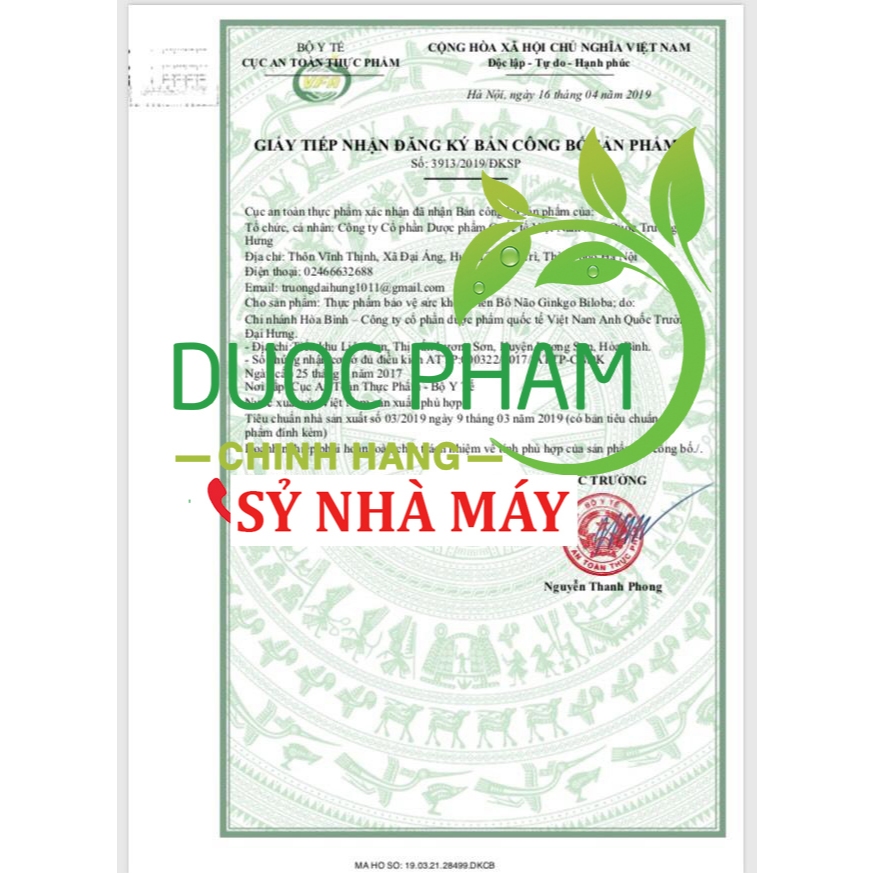 Viên bổ não Ginkgo biloba giúp hoạt huyết dưỡng não - giảm rối loạn tiền đình hiệu quả nhanh ( hộp 100 viên)