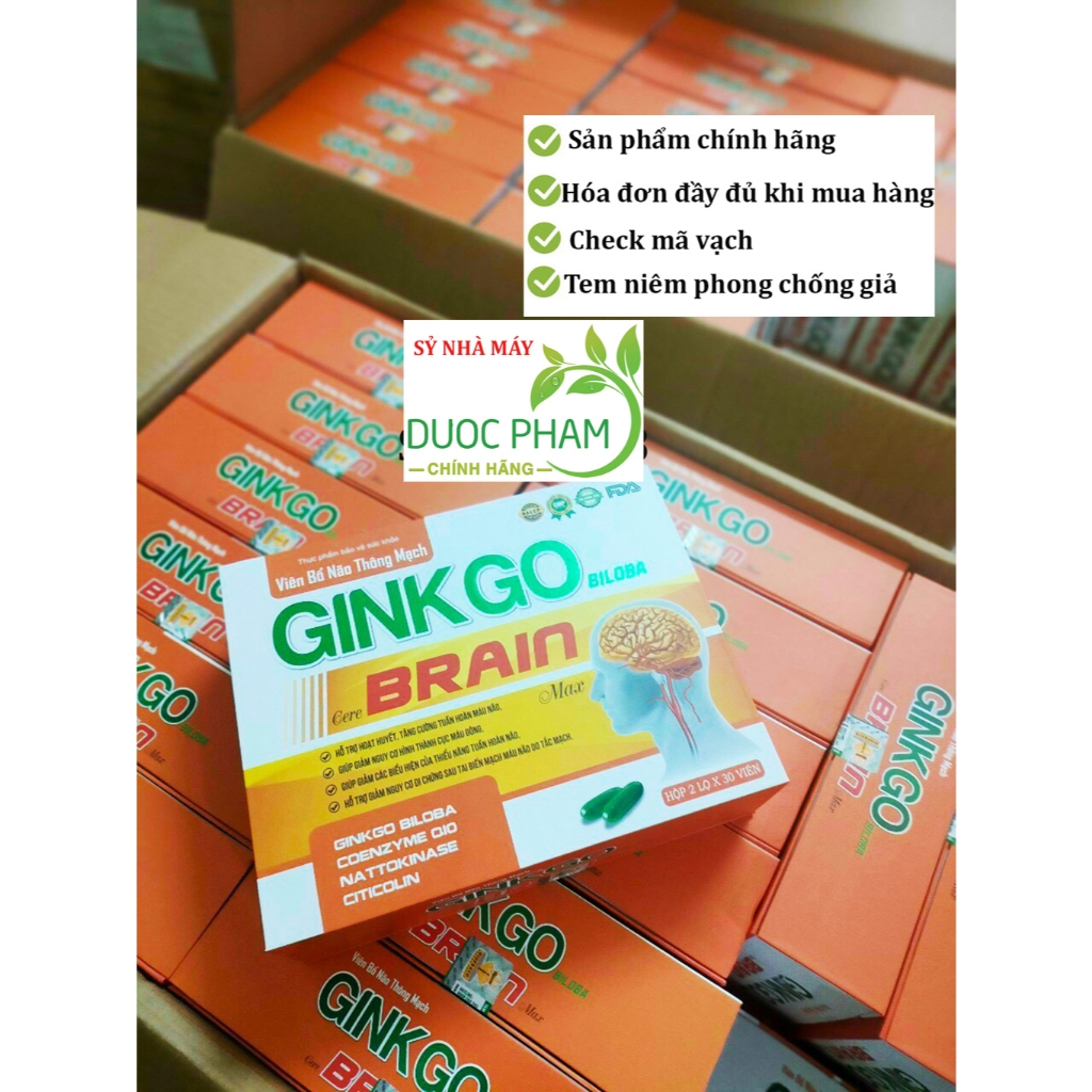[Combo 2 lọ ] Viên bổ não thông mạch Ginkgo Biloba Cere Brain Max - Ginkgo 600mg giúp bổ não - Ginkgo Brain max