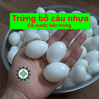 COMPO 100 TRỨNG CHIM BỒ CÂU LỎNG 100TN-TR