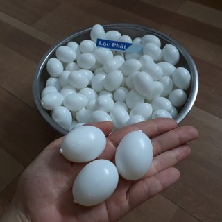 COMPO 100 TRỨNG CHIM BỒ CÂU LỎNG 100TN-TR