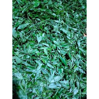 Bạch trà mẫu đơn (Hương thơm, vị ngọt hậu) 200g