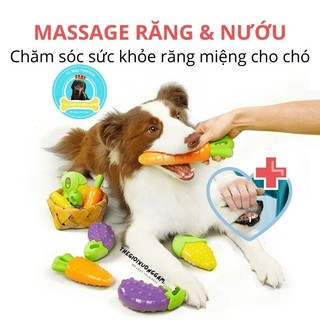 [CÓ SẴN] FOFOS ĐỒ CHƠI SIÊU BỀN HÌNH TRÁI CÂY SẠCH RĂNG CHO CHÓ THEGIOIXUONGGAM