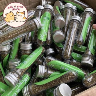 CATNIP-CỎ MÈO ỐNG 45G