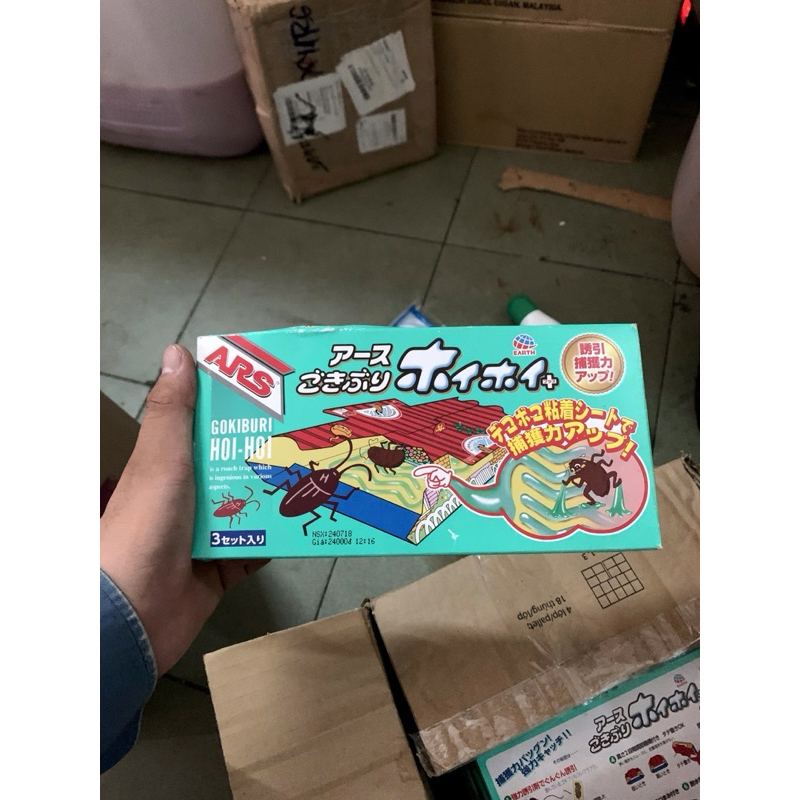 Combo 3 miếng bẫy gián Hoi hoi